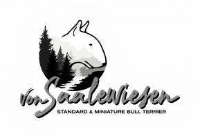 Logo Bullterrier von Saalewiesen