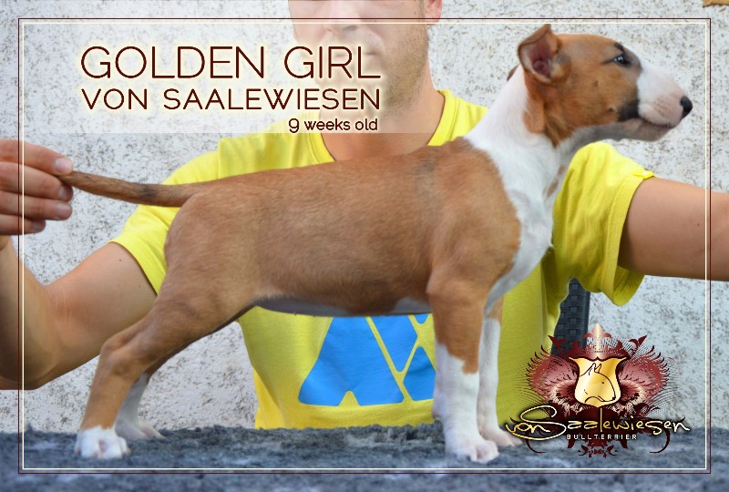 Golden Girl von Saalewiesen