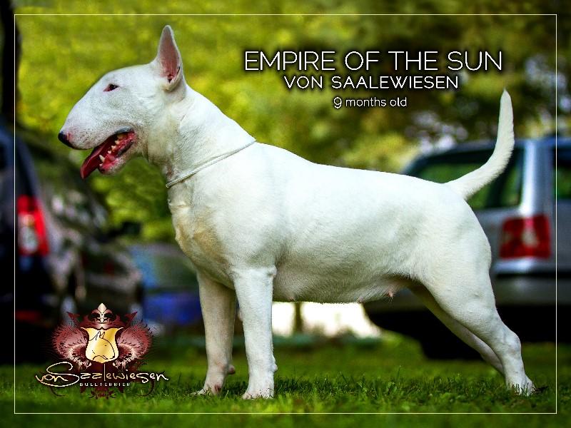 Empire of the Sun von Saalewiesen